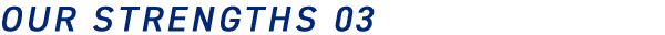 OUR STRENGTHS 03
